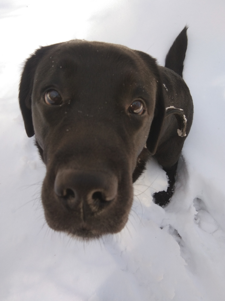 Фото автора. 