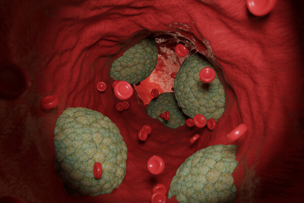 BOKEH STOCK/Shutterstock/FOTODOM   📷