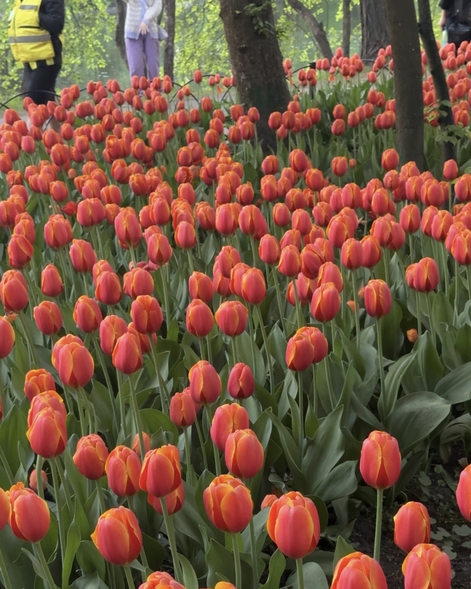 Фото с 2024 года