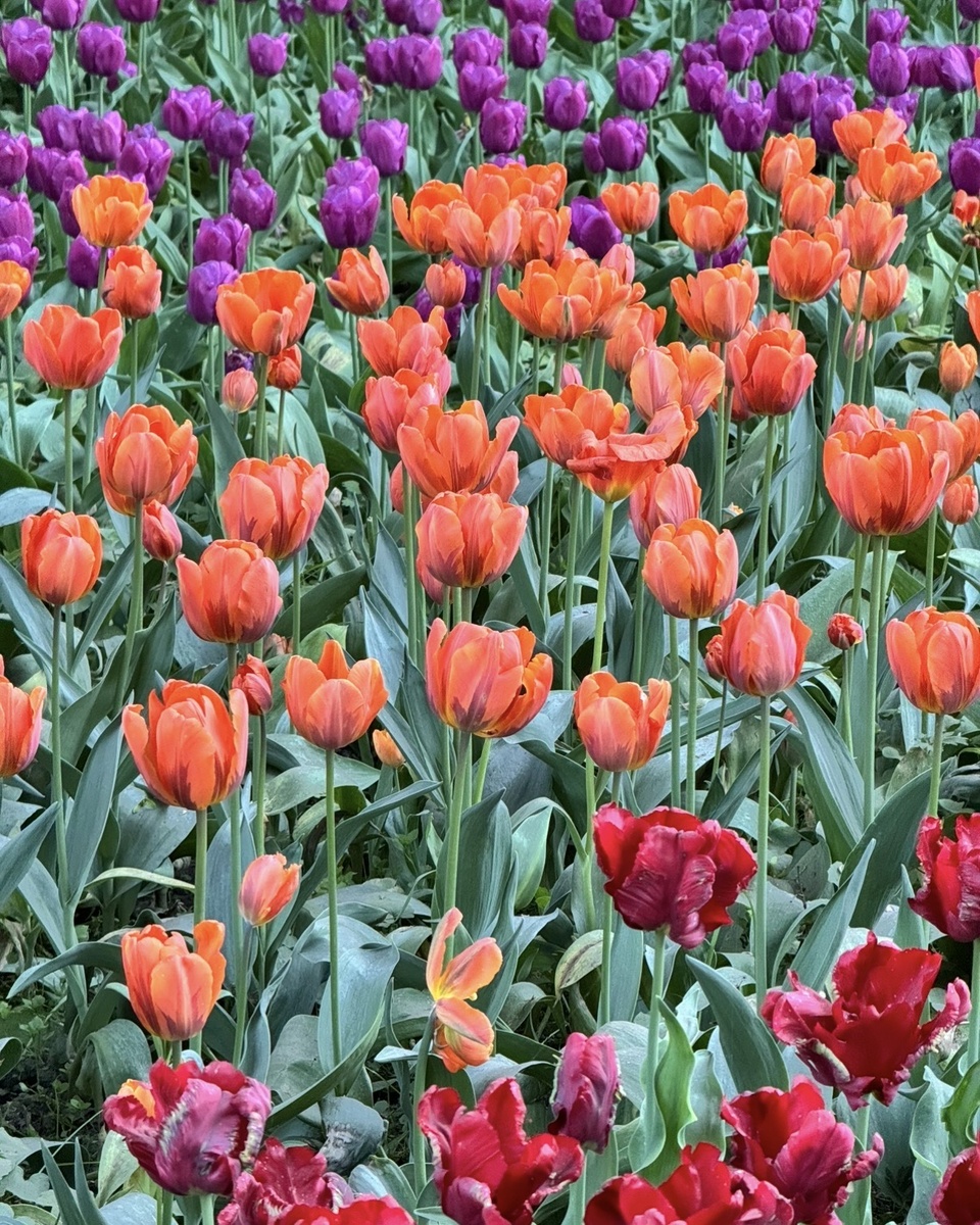 Фото с 2024 года