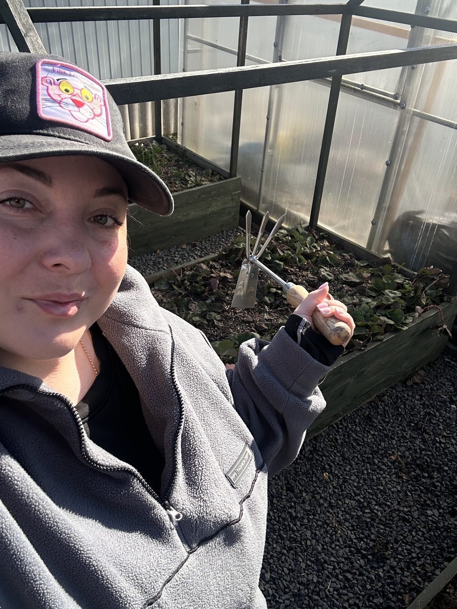 Сезон 2026г привожу клубнику в порядок