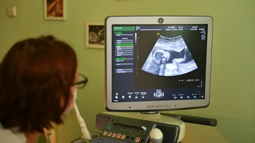    Артем Устюжанин / E1.RU с сайта n1s1.hsmedia.ru