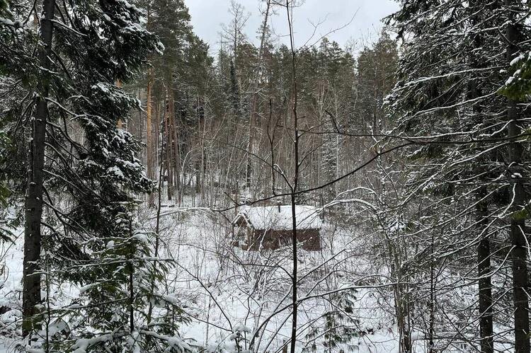 Избушка в сибирской тайге, где закончил свои дни основатель утопической "Фактории" Виктор Антипин. Фото из личного архива семьи