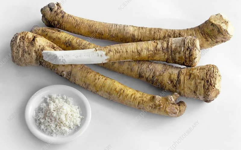 Как прекрасен порошок из костей мамонтов