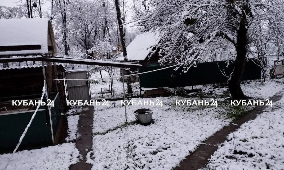    Фото «Кубань 24»