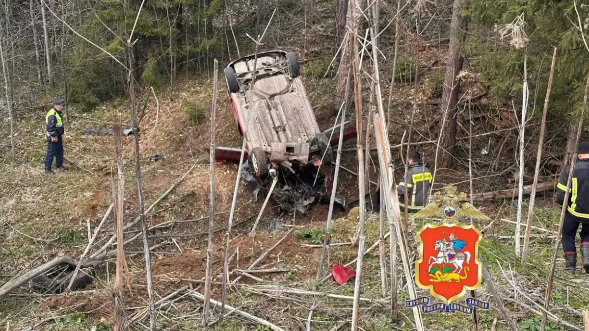    Источник: vm.ru/ Лидия Измайлова