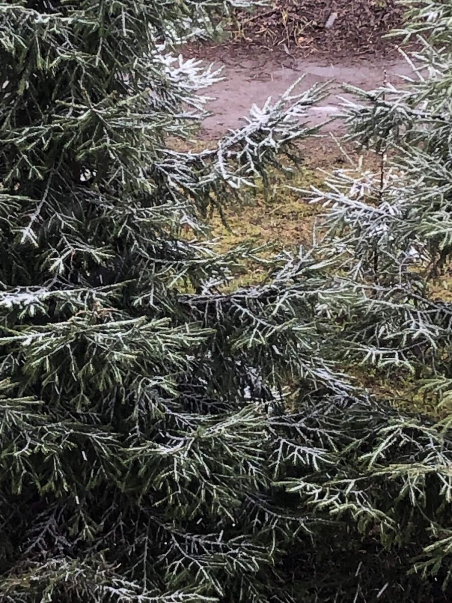 Погода сегодня за окном, у нас снег идет.