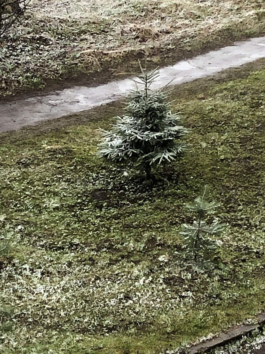 Снег 23 апреля 2026 года. Фото автора статьи.