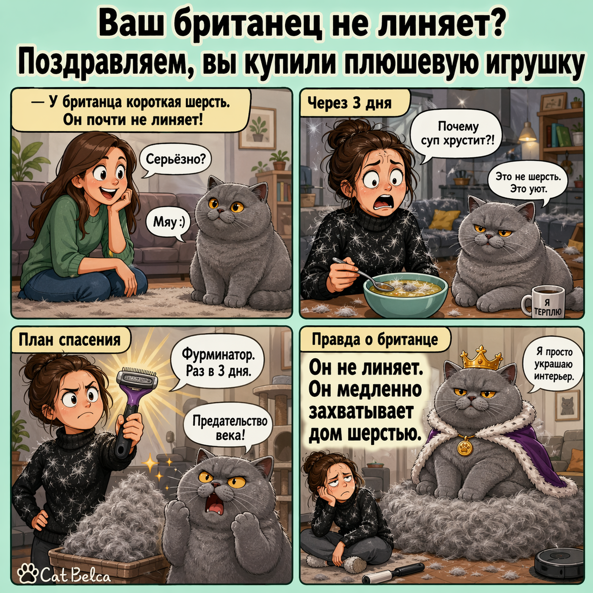 Линька у британских кошек.