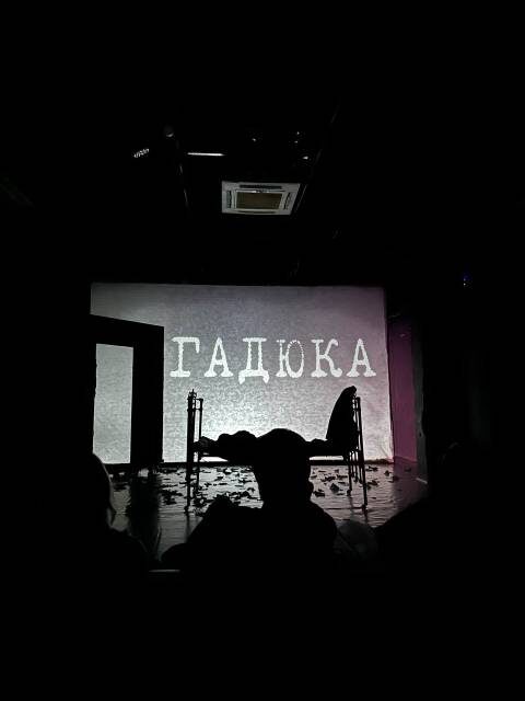 Сцена из спектакля «Гадюка». Один театр, Краснодар. Фото автора.