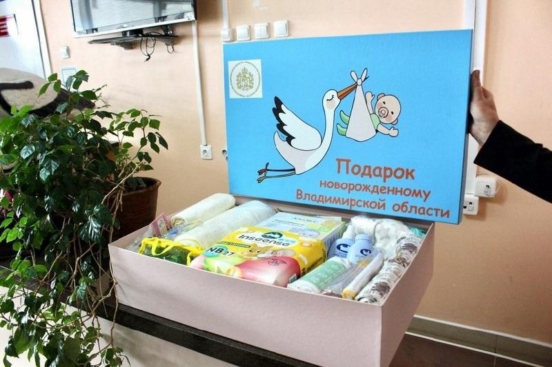 С 1 июля 2026 года во Владимирской области стартует новая программа поддержки молодых студенческих семей