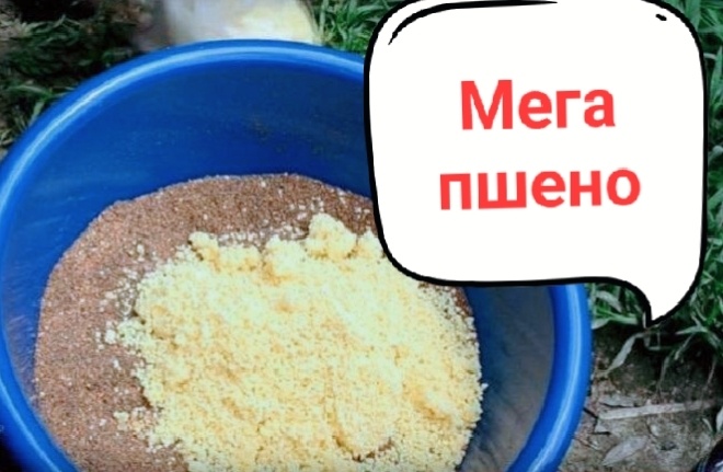 Почему пшено кладет на лопатки дорогую прикормку +лайфхаки