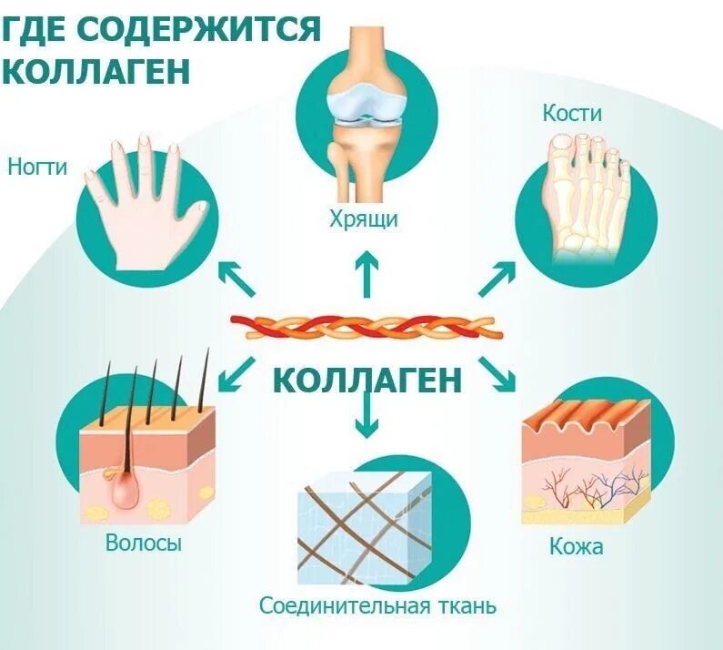 Фото Яндекс Картинки