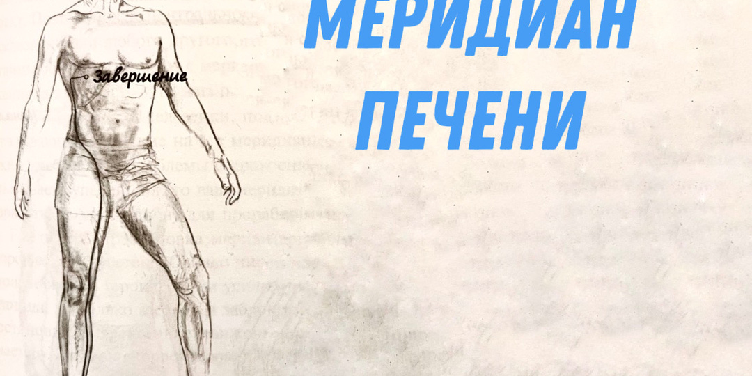 Меридиан печени