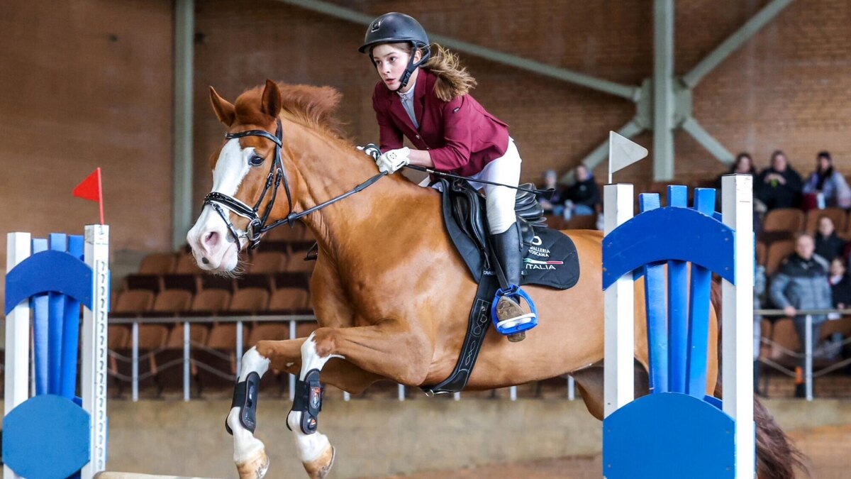    Фото: Соцсети