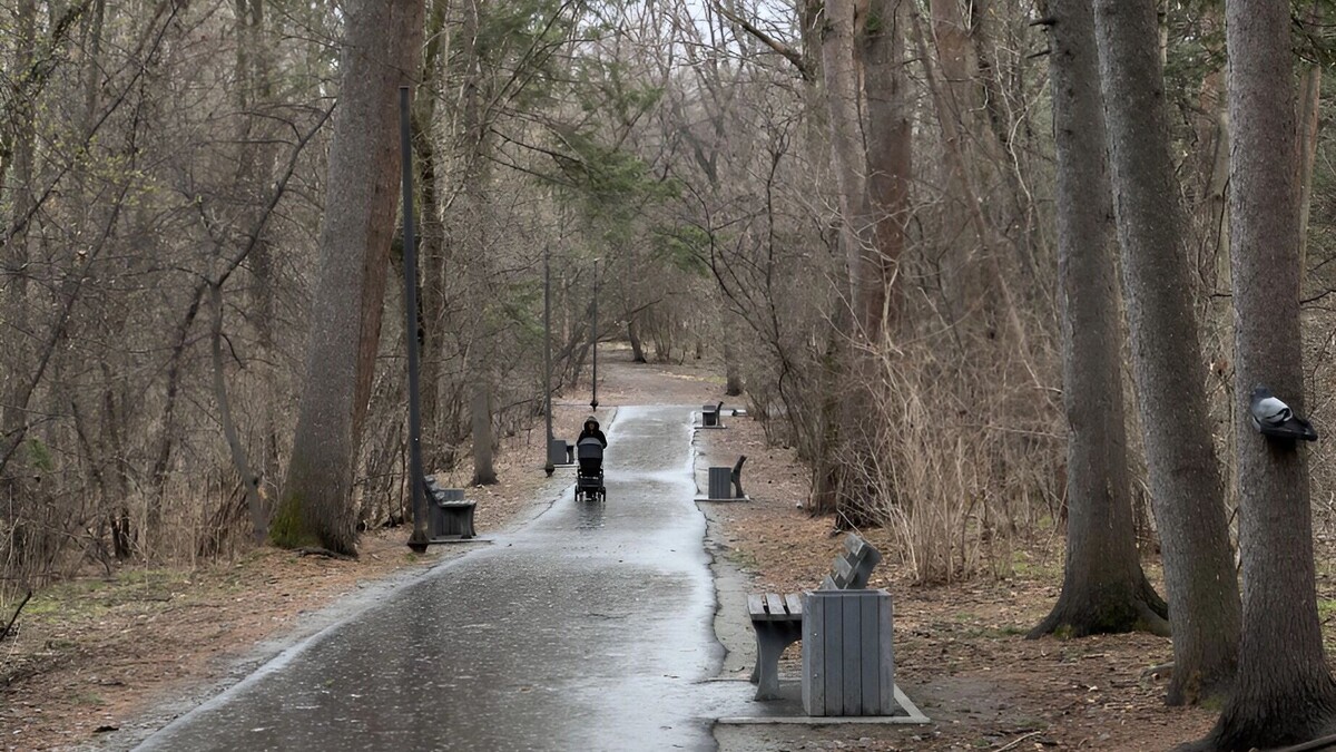    Дендрарий   Пресс-служба управления охотничьего хозяйства правительства Хабаровского края