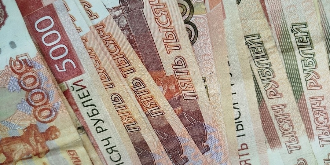 В Курске алиментщик погасил 615 тысяч долга после ареста машины и земли