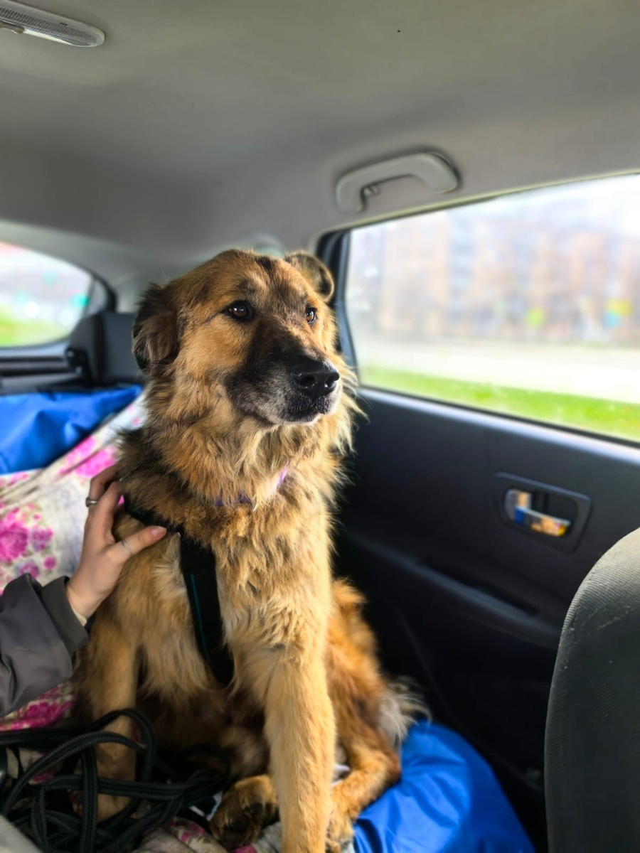 Рональд едет на первое обследование