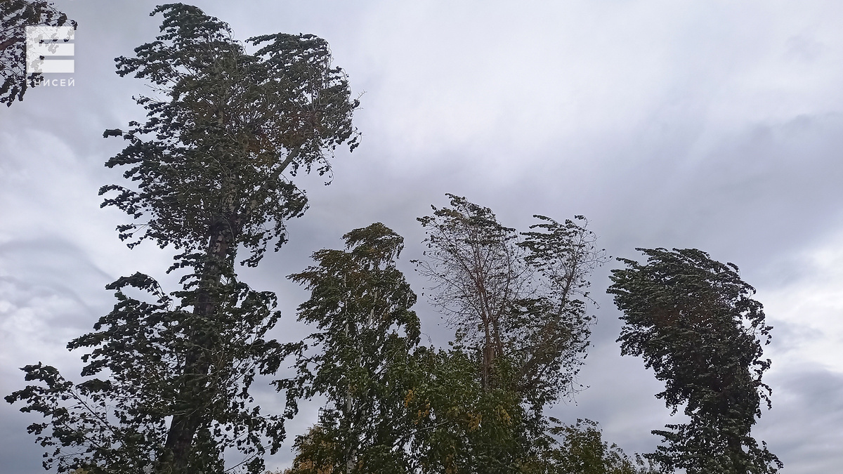     Жителей юга Таймыра предупредили о сильном ветре с порывами до 20 м/с