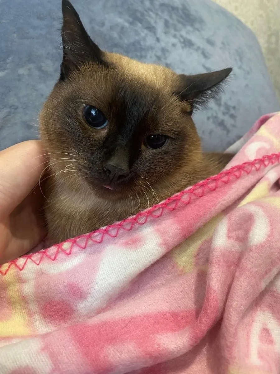 История о безграничной любви, которая длится уже целых 6 лет! 