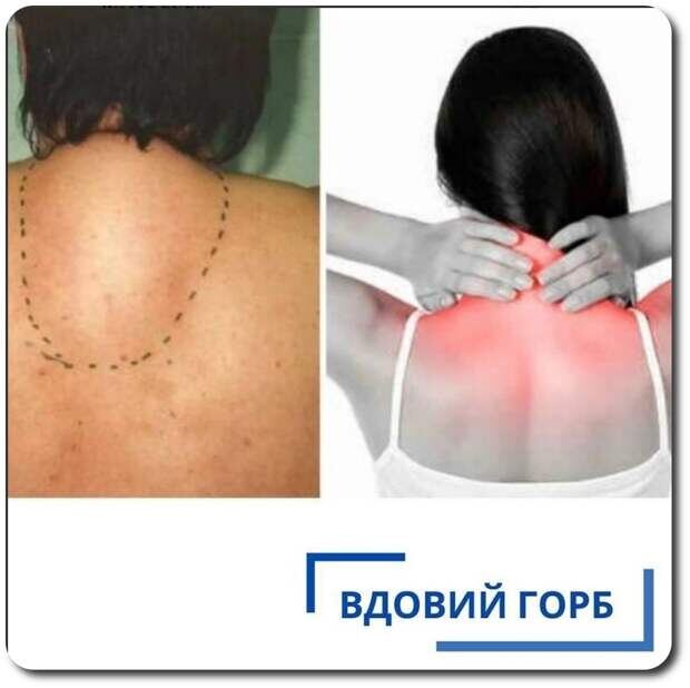 Фото Яндекс Картинки