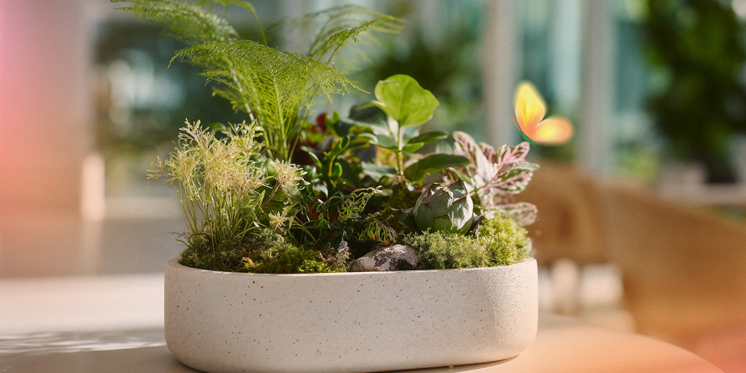 Главный тренд весны: мини-сады с первоцветами