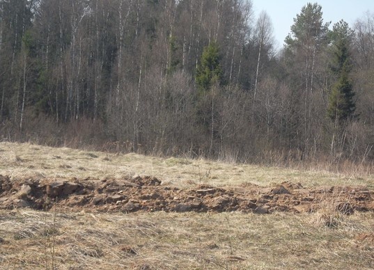 Фотография автора