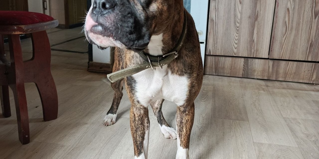 ❗ВНИМАНИЕ! Нужен дом