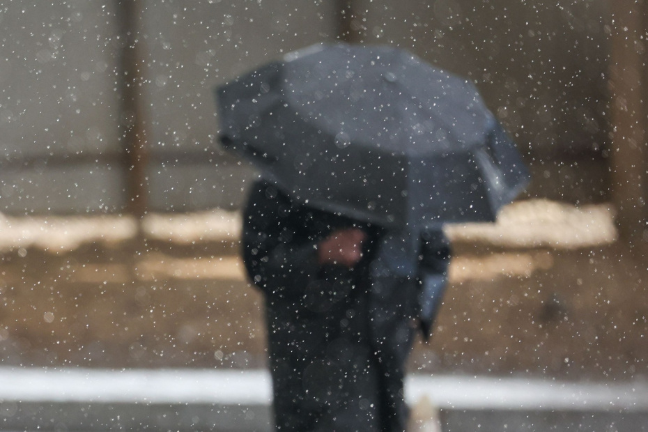    Алексей Белкин/NEWS.ru