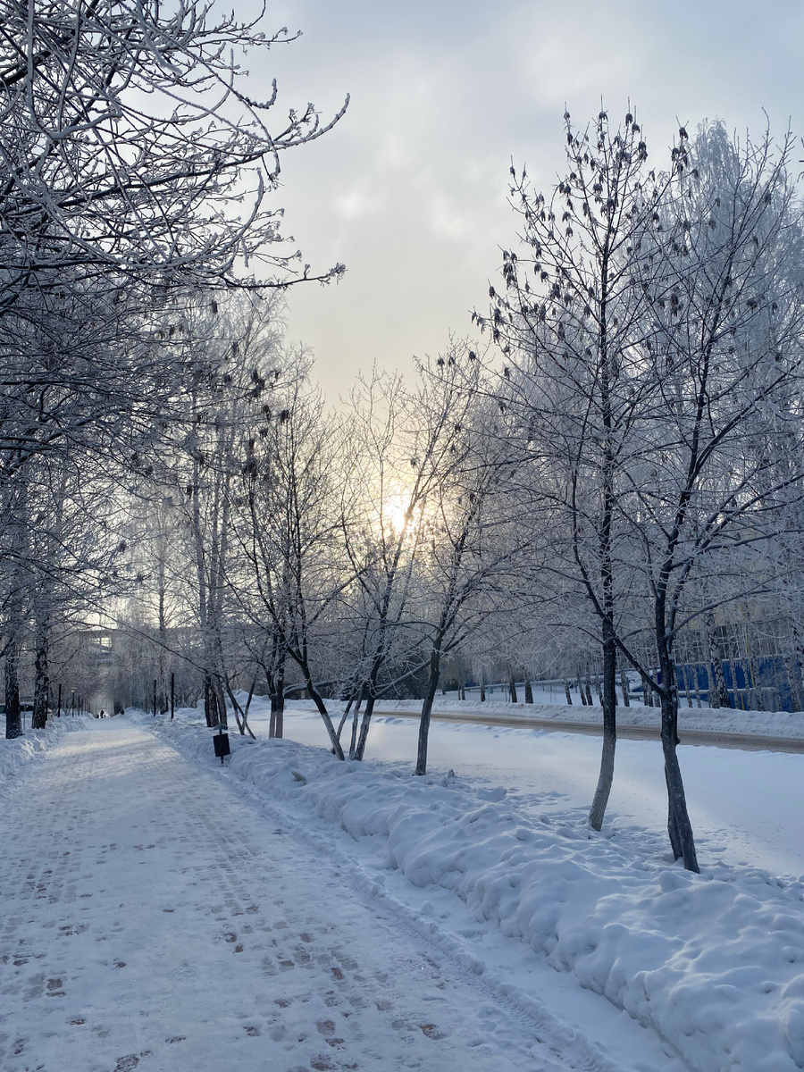 Снежный день декабря