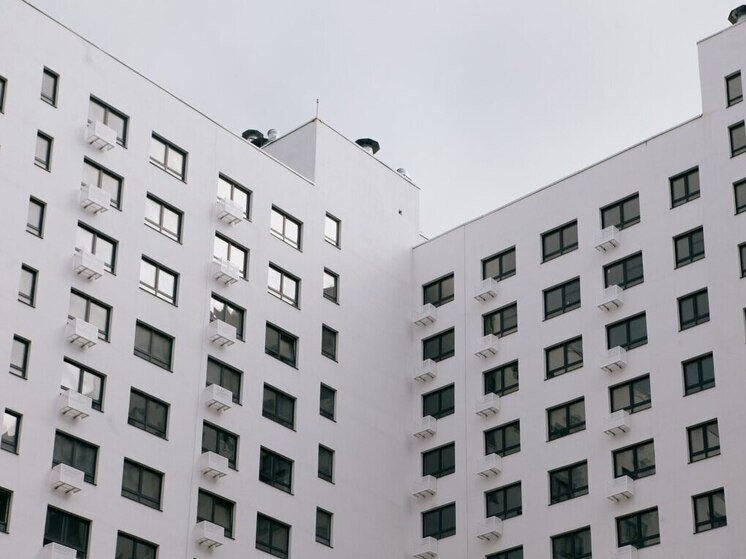     Фото: МК в Пензе