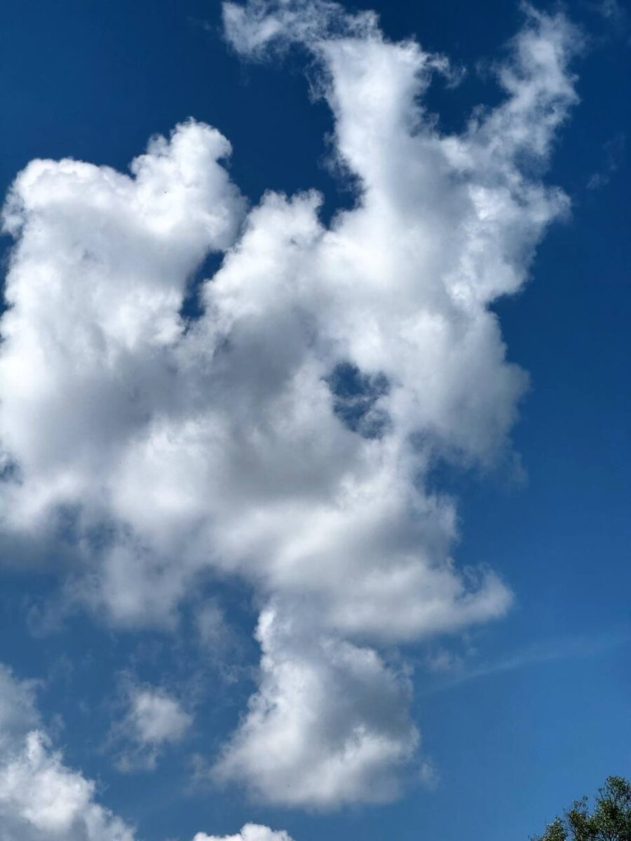 Рогатый некто…