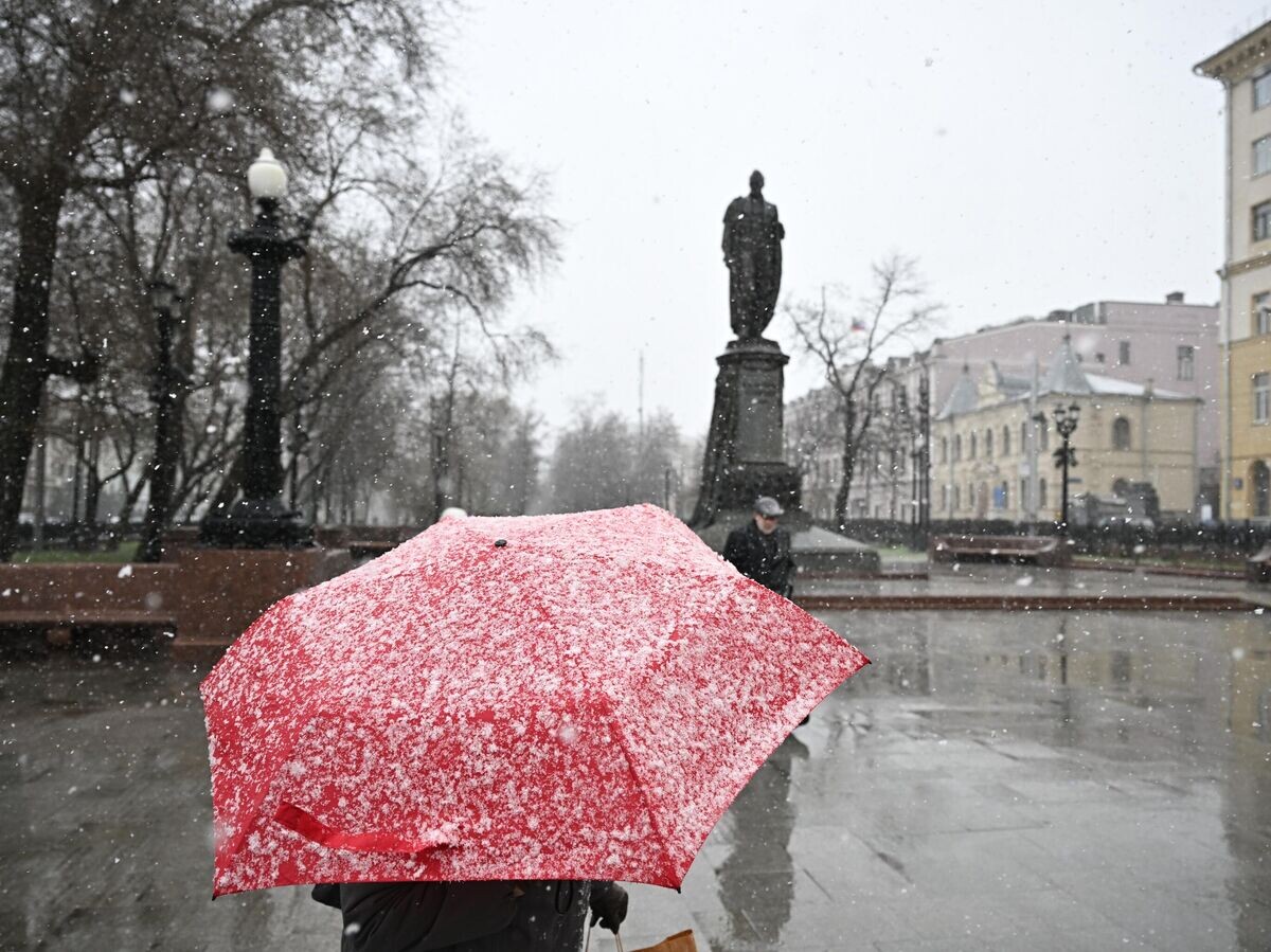    Снег в Москве | © РИА Новости / Сергей Бобылев
