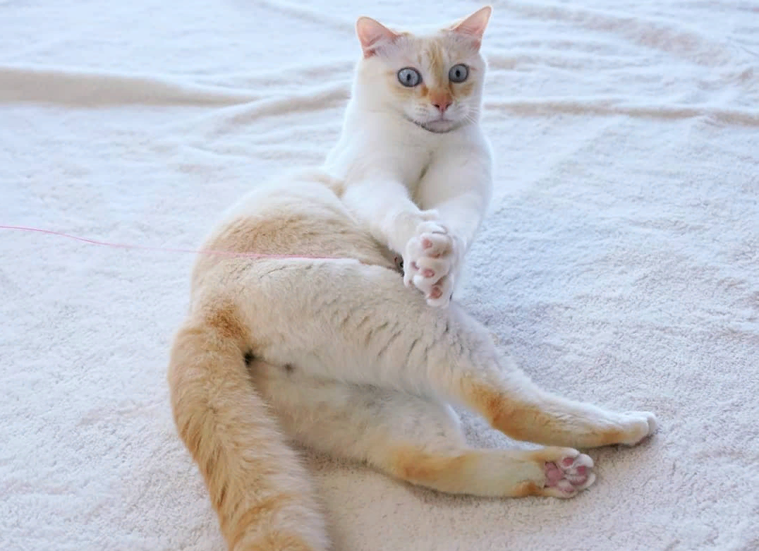 #Астропрогноз на 23-24 апреля 2026. Ключевые аспекты дня