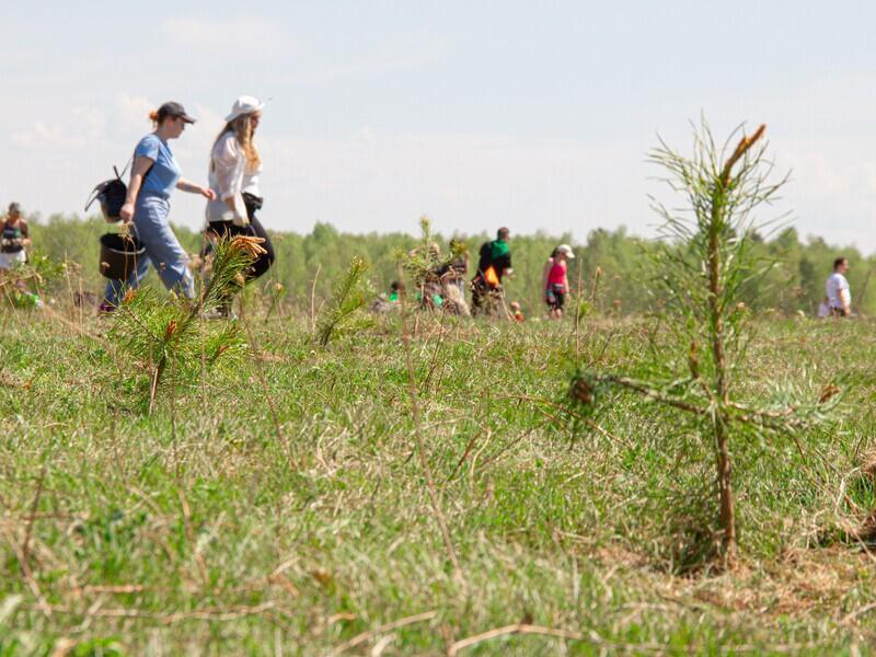 © Фото: фонд «Подари планете жизнь»