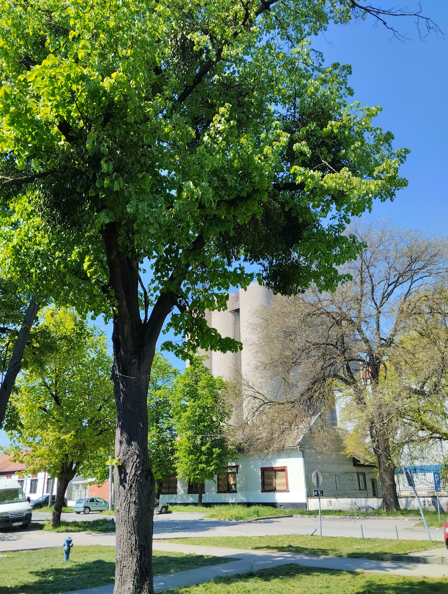 Апатинский пивоваренный завод. Фото автора