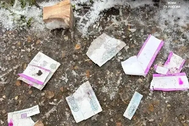    Источник: lenta.ru/ Владимир Новиков