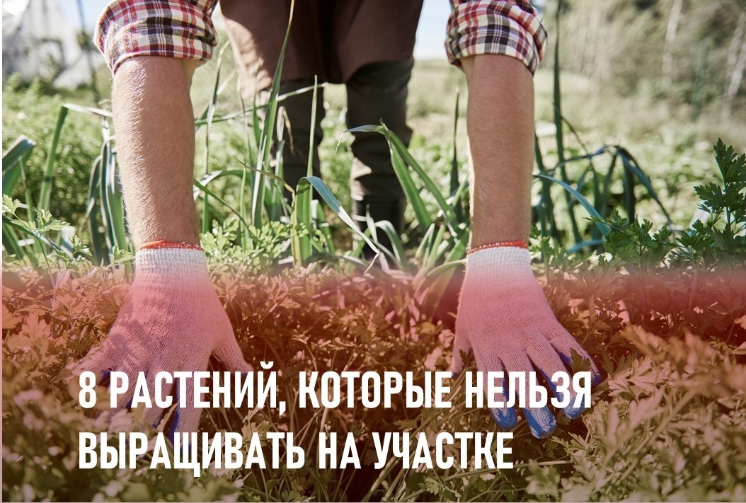 Фото: https://ru.freepik.com/