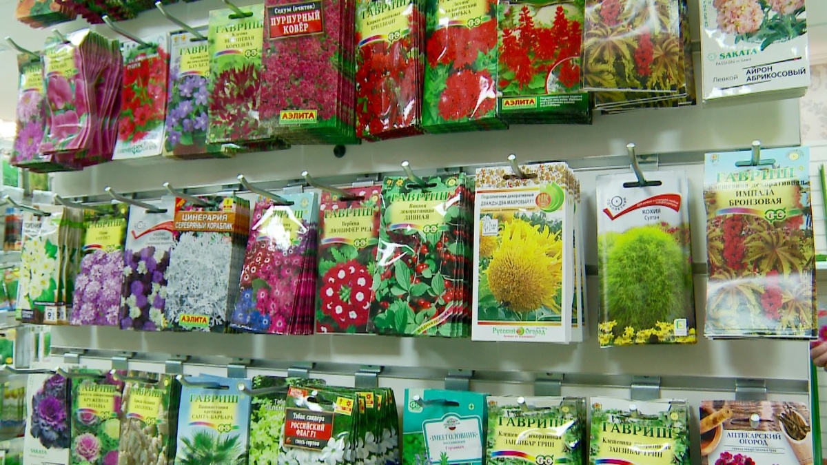 Кадр из программы "Вечерний хэштег"