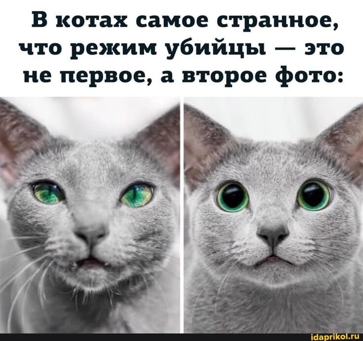 источник Яндекс-картинки