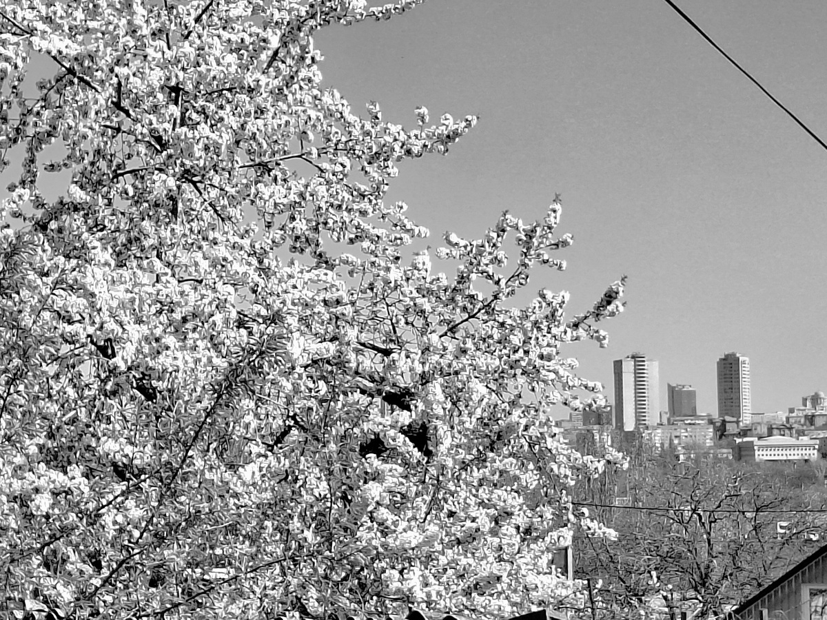 Когда боимся небо терять краски.