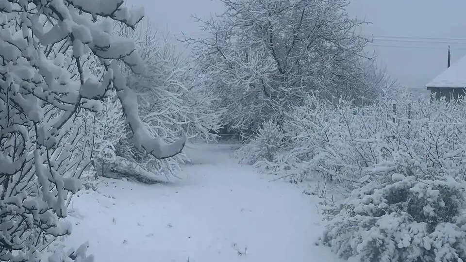 Часть Кавминвод покрылась снегом