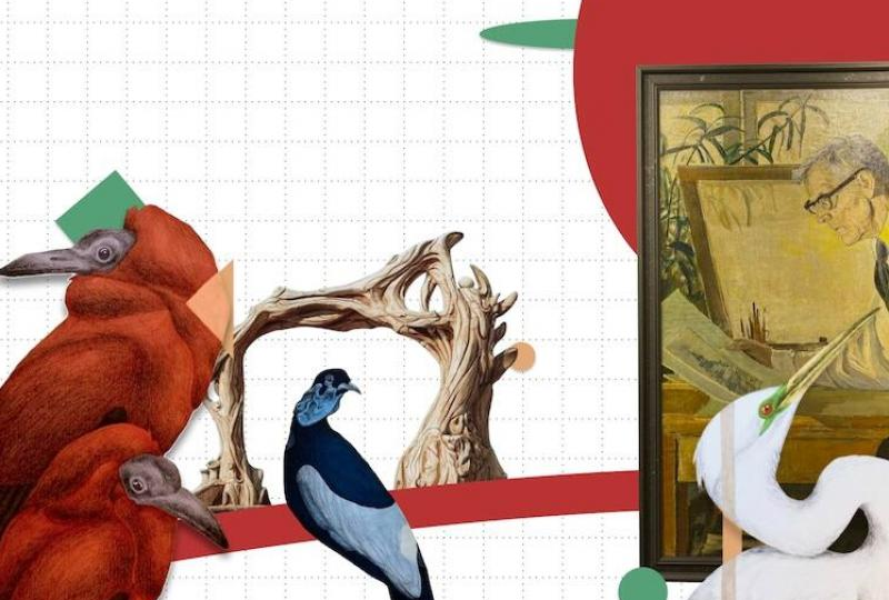 От колумбийских птиц до городского антиквариата: куда сходить в Иркутске на выходных