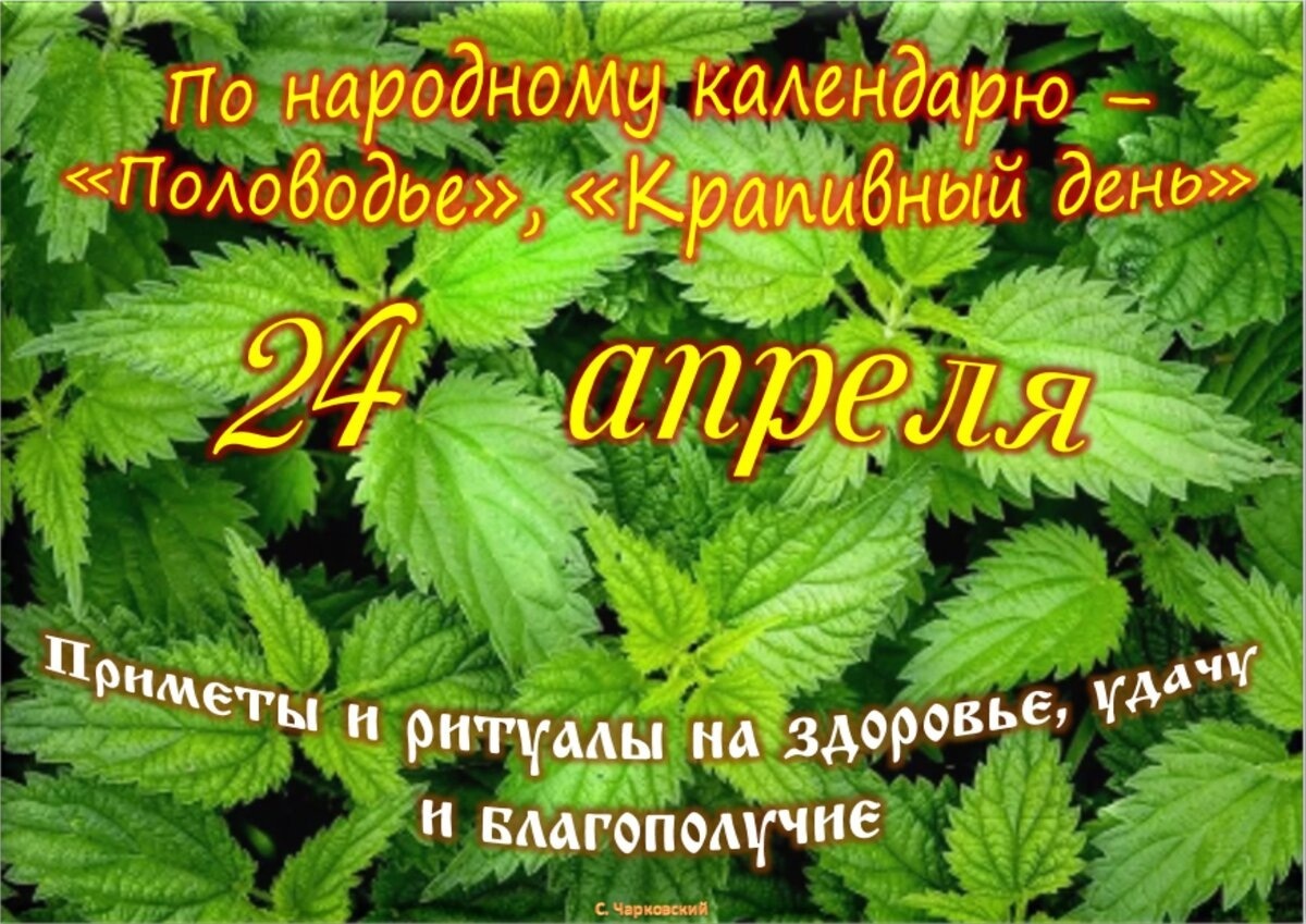 Встречаем новый день