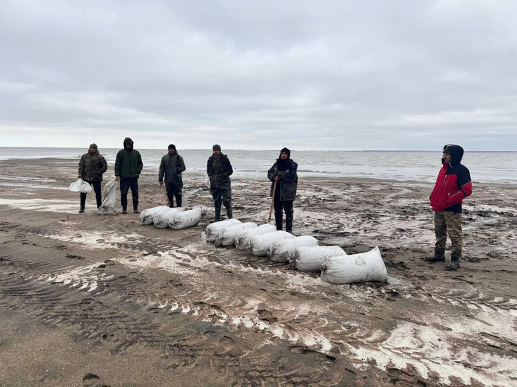     Фото: предоставлено редакции