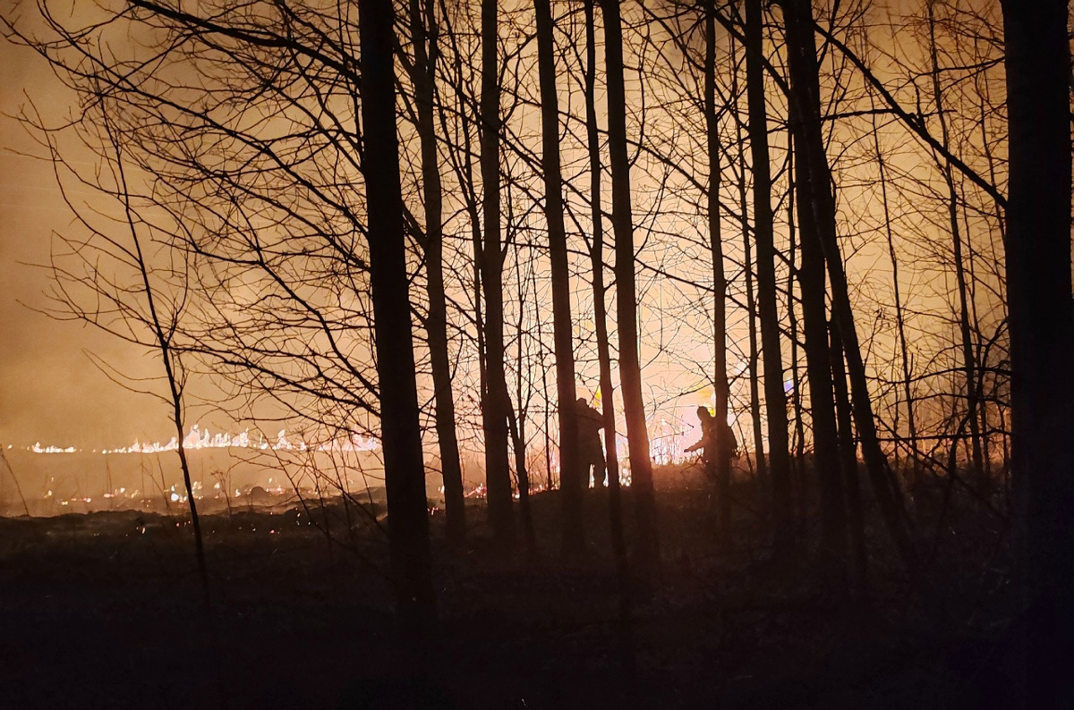 Фото: Благотворительный Фонд "Белый Бим" г. Кострома