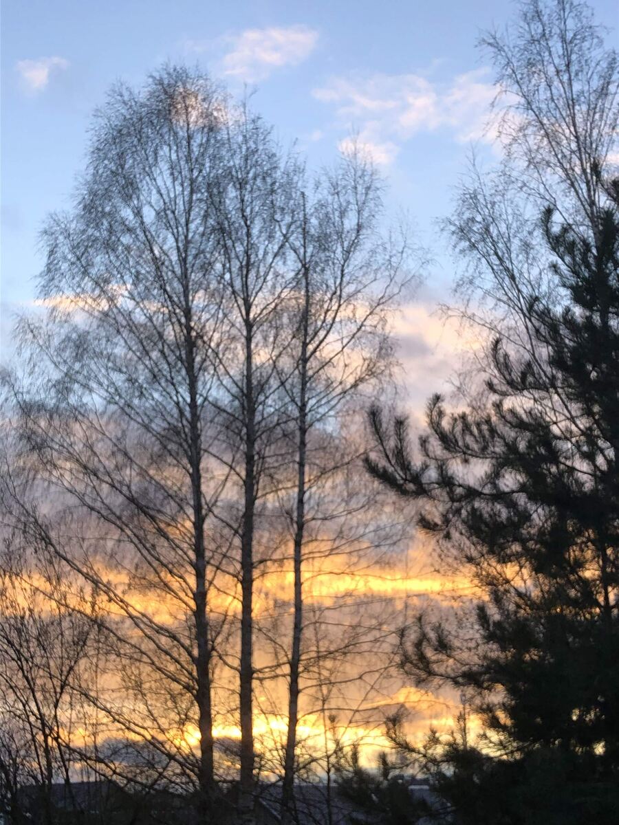 Закат вчера перед заморозками, вид из окна.