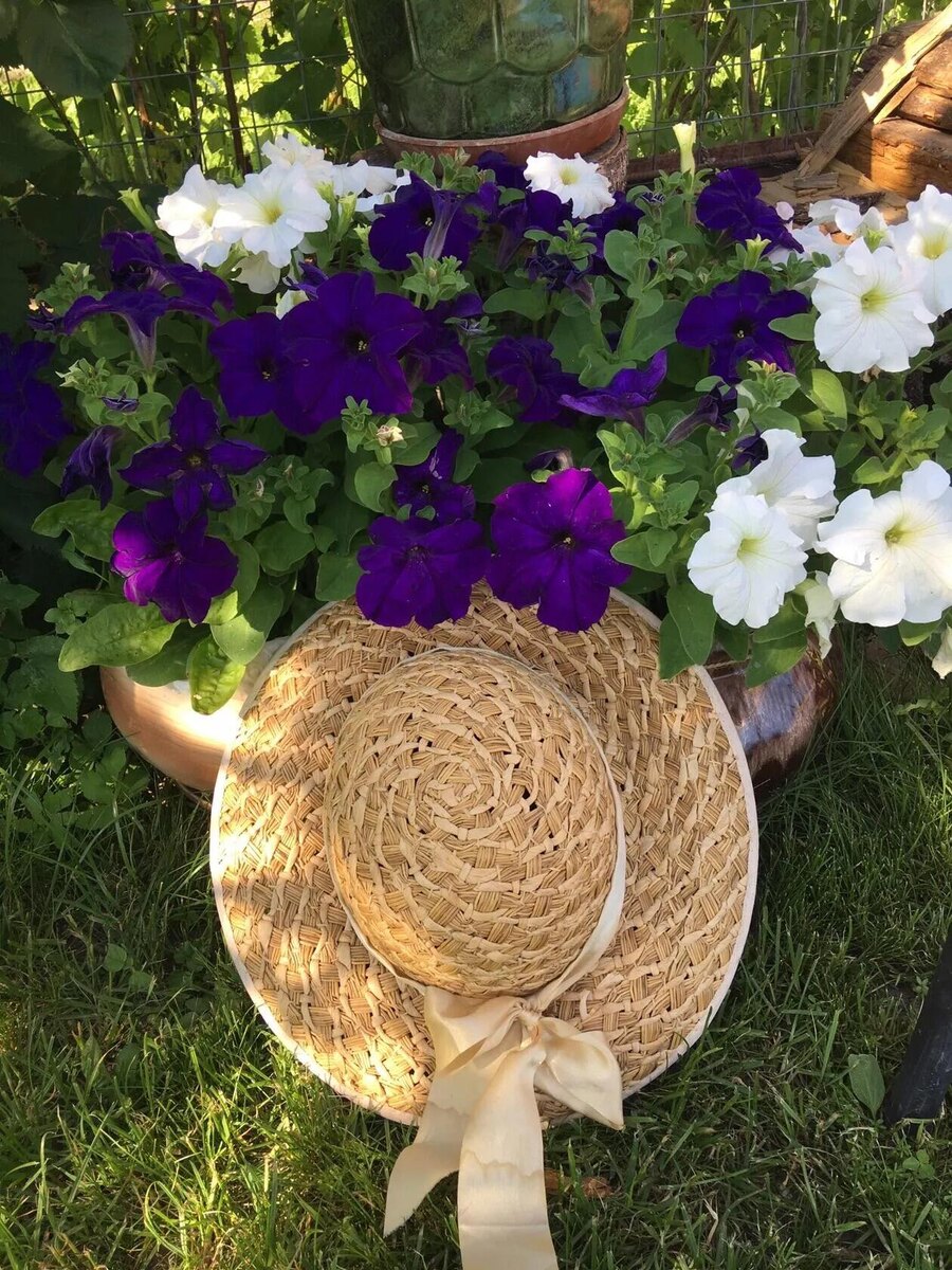 Фото из дачного архива, фото автора.