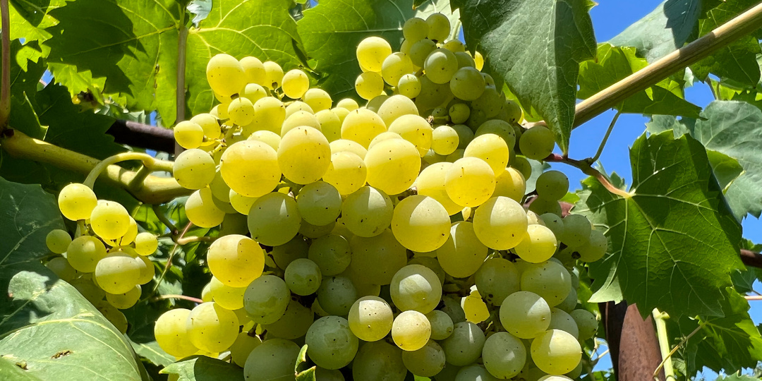 Домик у Азовского моря или «двушка» в мегаполисе: где на самом деле оседают деньги арендаторов