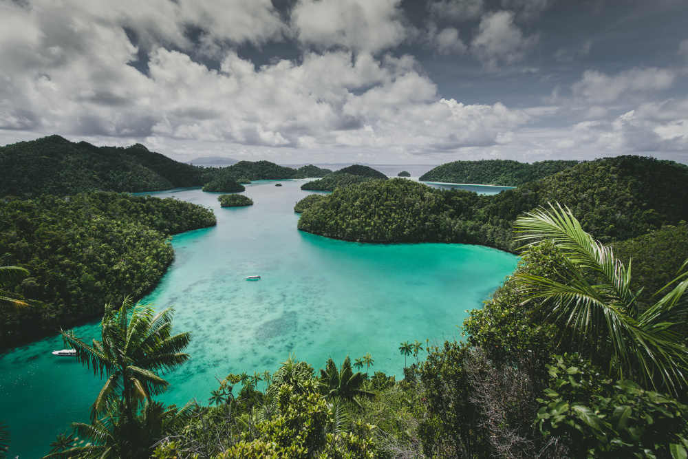    Фото: freepik